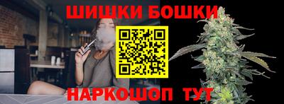 дживик Камышлов