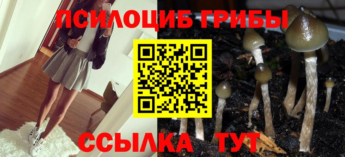 Псилоцибиновые грибы прущие грибы  Вход с VPN  Набережные Челны  купить наркотики сайты  Галлюциногенные грибы прущие грибы 