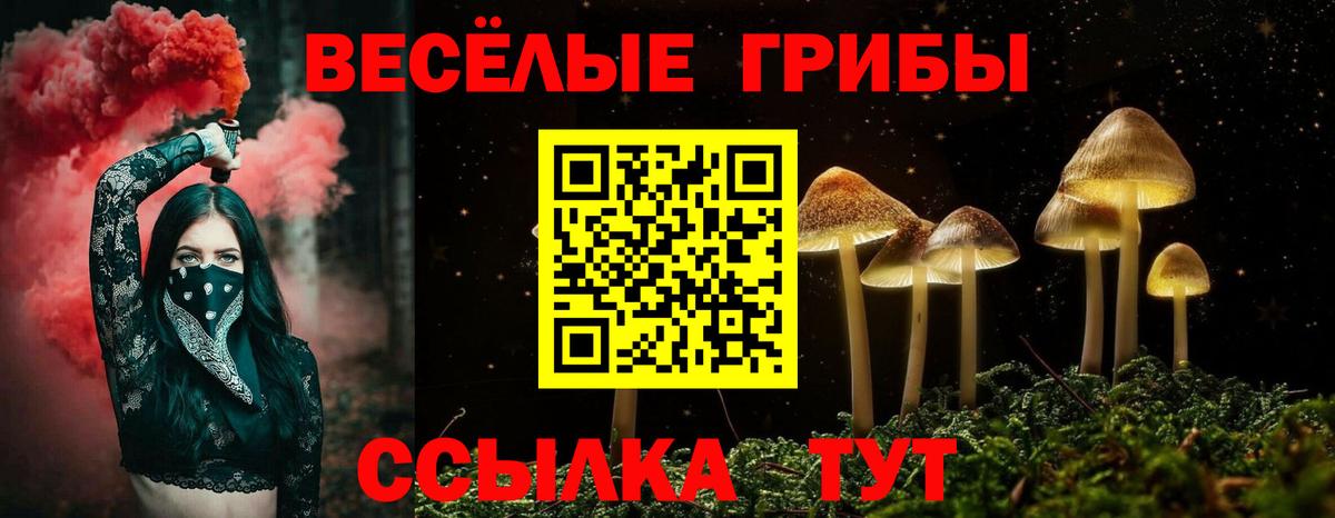 Галлюциногенные грибы прущие грибы Набережные Челны